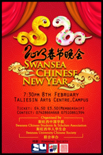 Chinese New Year show poster